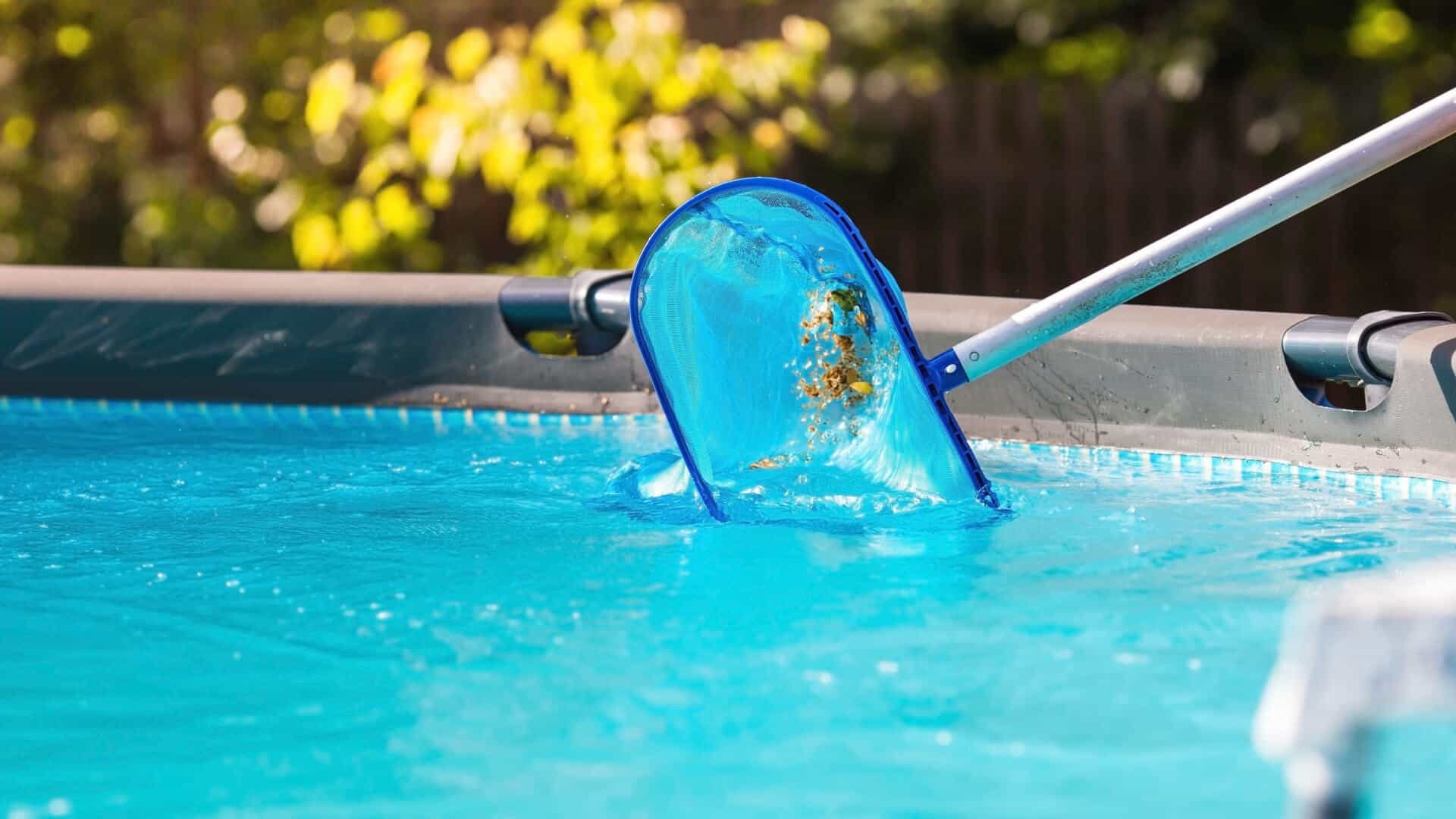 Pool Cleaning